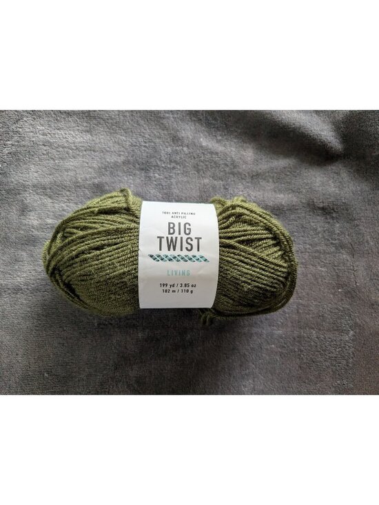 Big Twist Other - Big Twist Living Anti-Pilling Acrylic Yarn - Pine Green‎